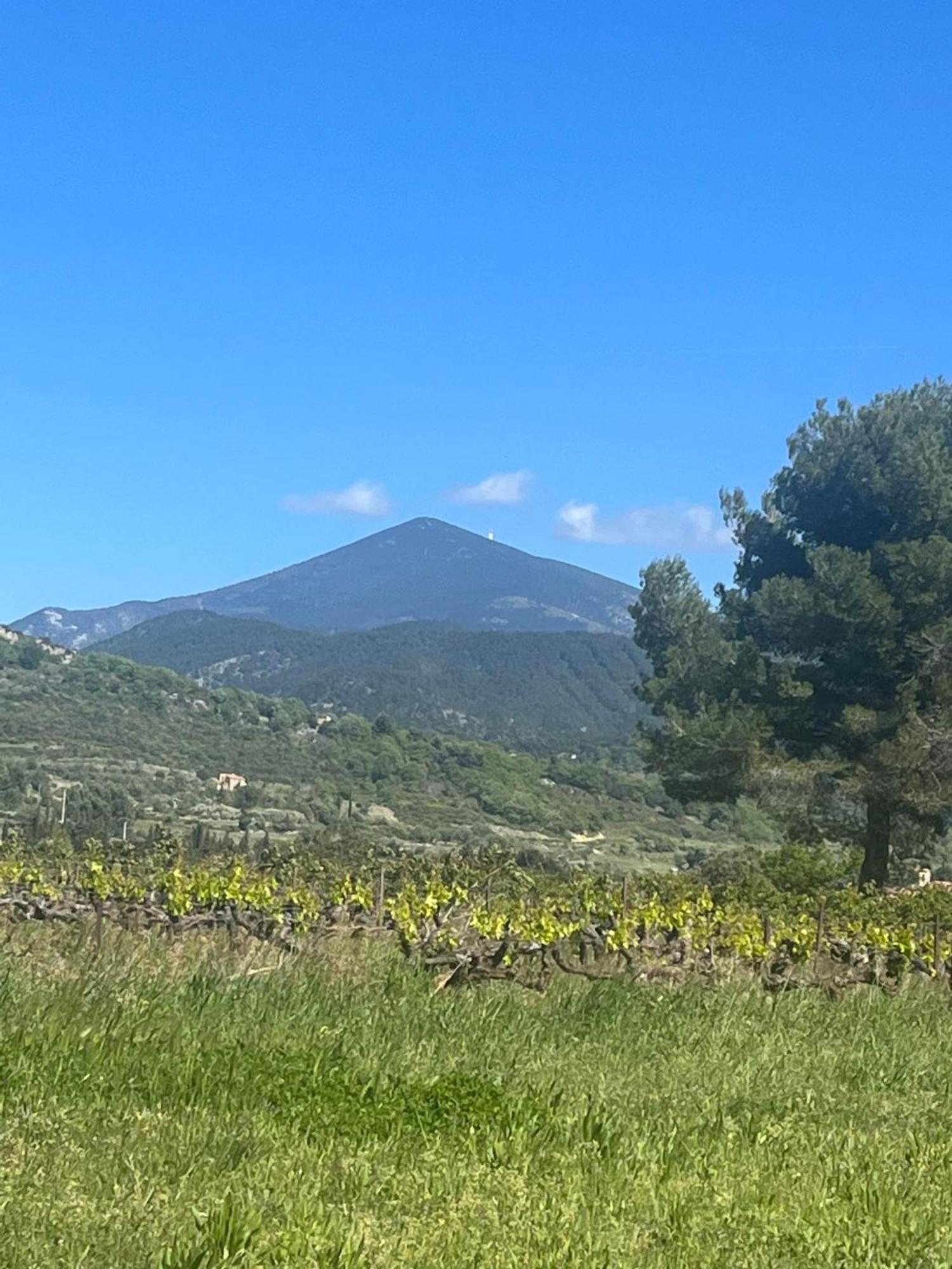 Le Frangipanier Le Barroux